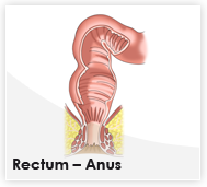 Dr. Antoine Sina - Chirurgie Digestive et de l'Obésité - Nantes